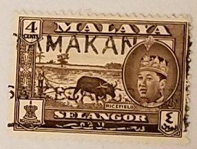 Malaya Selangor 104