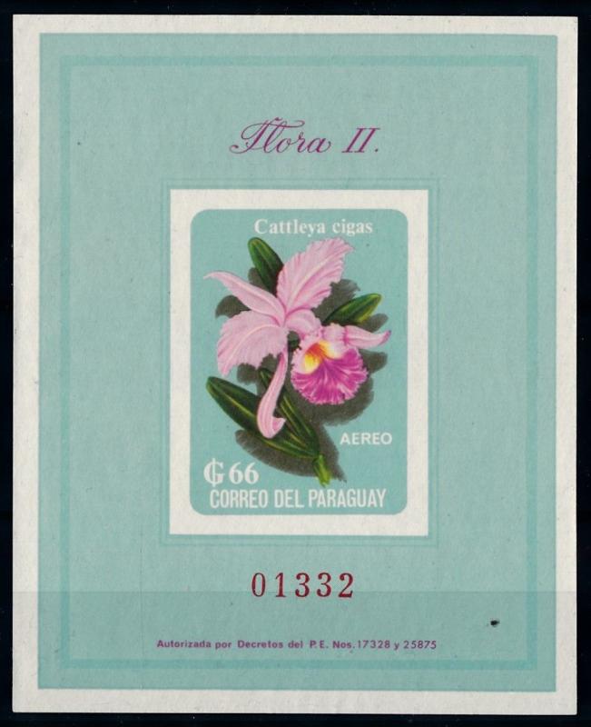 [66216] Paraguay 1963 Flora Flower Blume Airmail NO GUM Souvenir Sheet