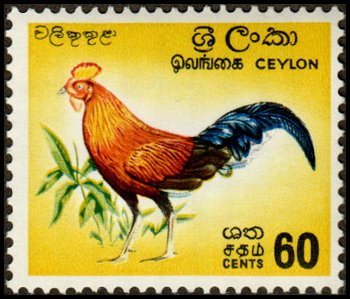 Ceylon 377 - Mint-NH - 60c Ceylon Jungle Fowl (1966) (cv $5.20)