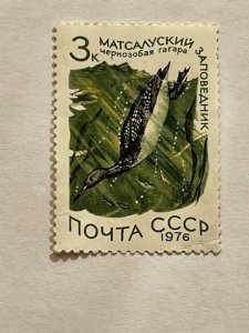 Russia – 1976 – Single Waterfowl Stamp – SC# 4466 - CTO