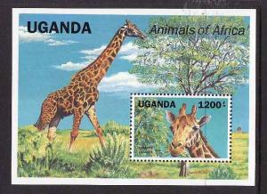 Uganda-Sc#952-unused NH sheet-Animals-Wildlife-Giraffe-1991-