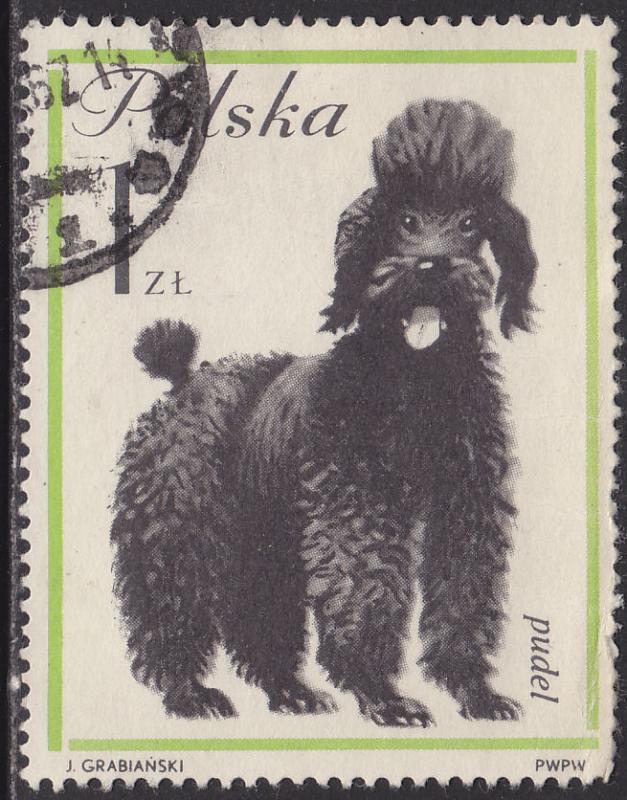 Poland 1120 Poodle 1963