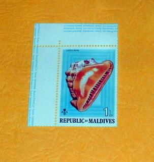 Maldive Islands - 533, MNH. Sea Shell. SCV - $0.30