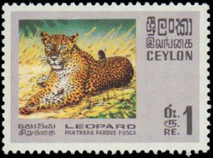 Ceylon #439-442, Complete Set(4), 1970, Animals, Big Cats, Never Hinged