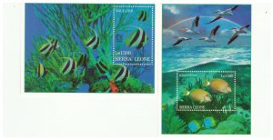 SIERRA LEONE SC. 1799-1802 1995 MARINE REEF LIFE MNH YE10