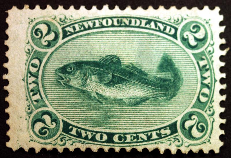 Newfoundland #24 2c Green Codfish 1870  VF Unused