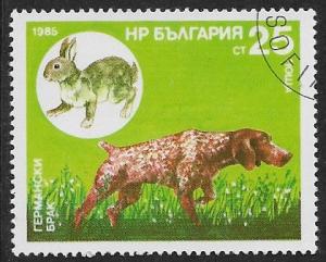 Bulgaria # 3132 - German Pointer & Rabbit - CTO