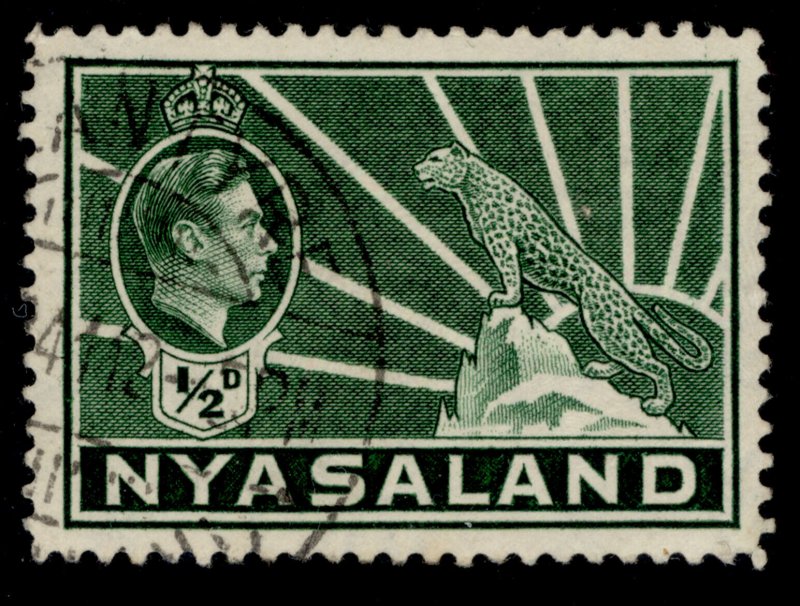 NYASALAND PROTECTORATE GVI SG130, ½d green, FINE USED.