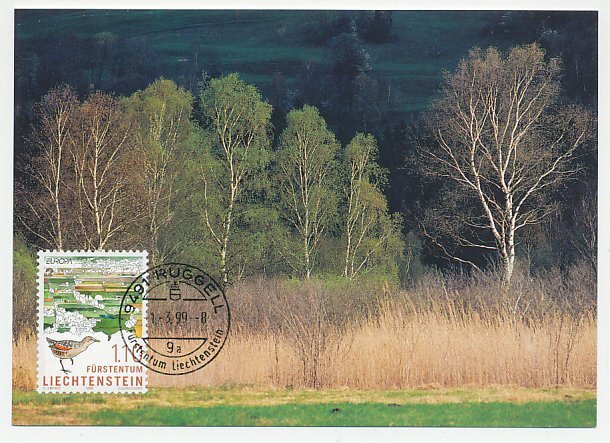 Maximum card Liechtenstein 1999 Bird - Sandgrouse