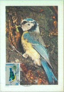 87602 - FRENCH ANDORRA - POSTAL HISTORY: MAXIMUM MAP - BIRDS 1973-