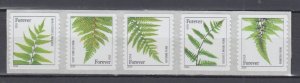 (L) USA #4874-4878  (2014) Ferns Forever Strip of 5 ( Without USPS Imprint) MNH