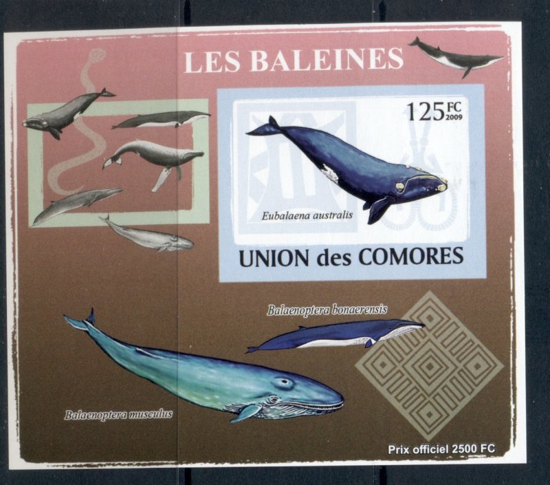 Comoro Is 2009 Marine Life, Whales Deluxe MS IMPERF MUH