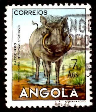 Angola 1953 African Wart Hog Wild Animals 7a Scott.377 Used (#6)