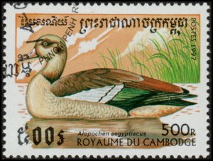 Cambodia 1612 - Cto - 500r  Egyptian Goose (1997)