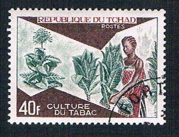 Chad 275 Used   Tobacco Cultivation (BP13020)