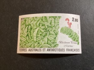 ICOLLECTZONE FAST French Antarctic 145 Imperf. XF NH Flowers Plants