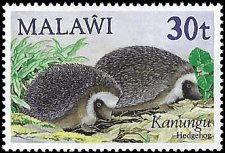 MALAWI   #444 MNH (1)