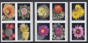 5350-59 Cactus Flowers MNH