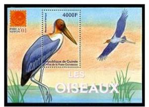 GUINEE GUINEA SHEET BIRDS