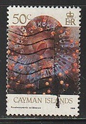1986 Cayman Islands - Sc 568 - used VF - 1 single - Pseudocorymactis Caribbeorum