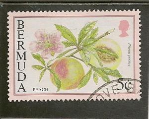 Bermuda  Scott  668   Fruit  Used