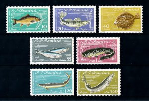 [99337] Romania 1960 Marine life fish  MNH