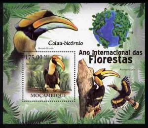 Mozambique 2011 International Year of Forests - Great Hor...