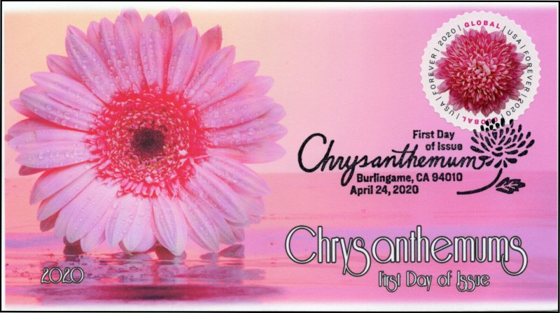 20-088, 2020, Chrysanthemum, Pictorial Postmark, First Day Cover, International