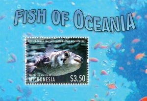 Micronesia 2013 - Marine Life Fish - Souvenir Stamp Sheet - Scott #1030 - MNH