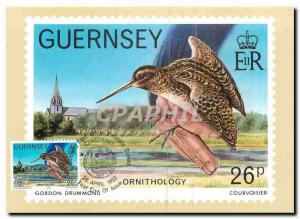  Ansichtskarten-Guernsey-Vogelkunde