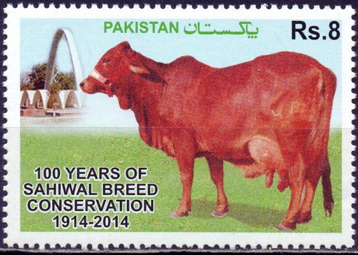 Pakistan. 2014. 1467. Cow. MNH.