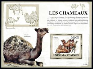 [96680] Comores Comoros 2009 Wild Life Camels Sheet MNH