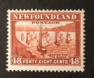 Newfoundland Sc. #199 mint hinged