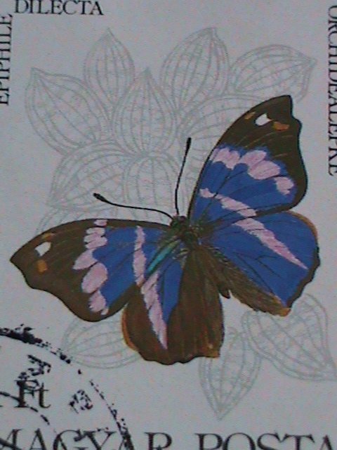 HUNGARY STAMP- COLORFUL BEAUTIFUL LOVELY BUTTERFLY JUMBO LARGE CTO STAMPS-VF