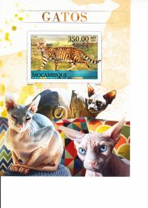 2016 Mozambique Cats Toyger SS (Scott NA) MNH