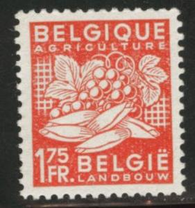 Belgium Scott 377 MH* 1948 stamp