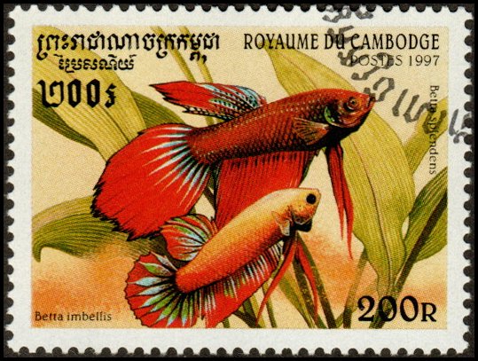 Cambodia 1669 - Cto - 200r Bettas (1997)