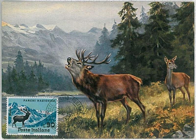 32200  MAXIMUM CARD - POSTAL HISTORY - Italy: Goats, Antelopes, Mountains, 1967