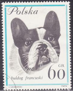 Poland 1119 Dogs, French Bulldog 60Gr 1963