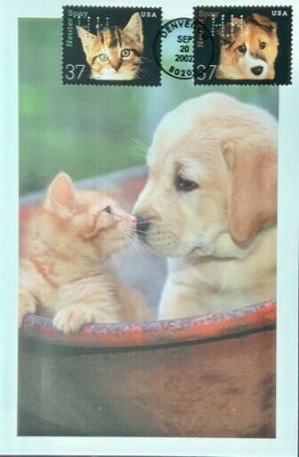 HNLP Hideaki Nakano Greeting Card Spay Neuter 3671/2 Dog Cat I want to get old 