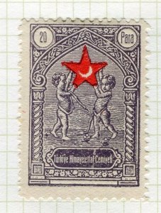 TURKEY; 1932 early Red Crescent Child Welfare issue Mint 20pa. value