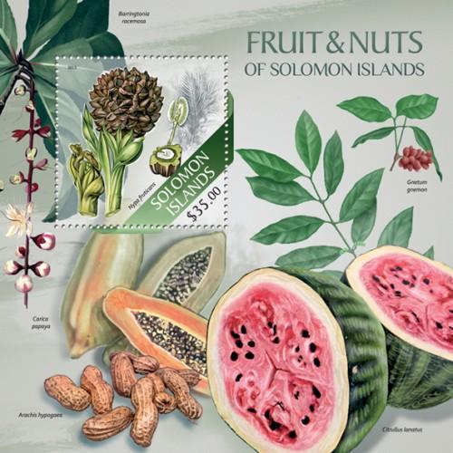 SOLOMON ISLANDS 2013 SHEET FRUITS slm13506b