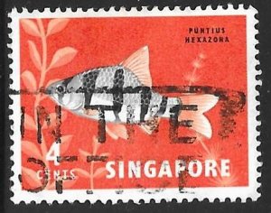 Singapore 54: 4c Six-banded Tiger Barb (Puntius hexazona), used, F-VF