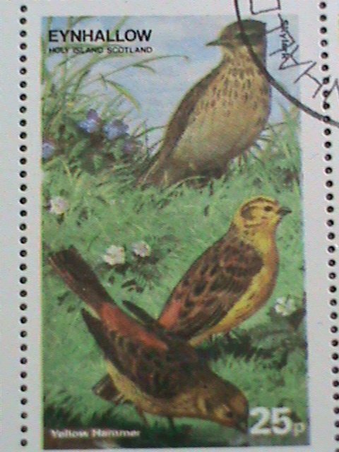 ​EYNHALLOW-SCOTLAND STAMP 1974 COLORFUL LOVELY WORLD BEAUTIFUL BIRDS-CTO-SHEET