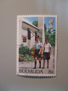 Bermuda #385 used