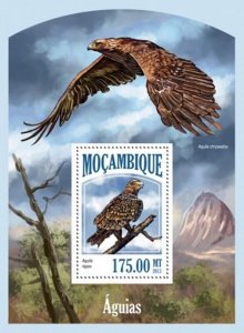 Mozambique - 2013 Eagles Bird of Prey Stamp Souvenir Sheet 13A-1379