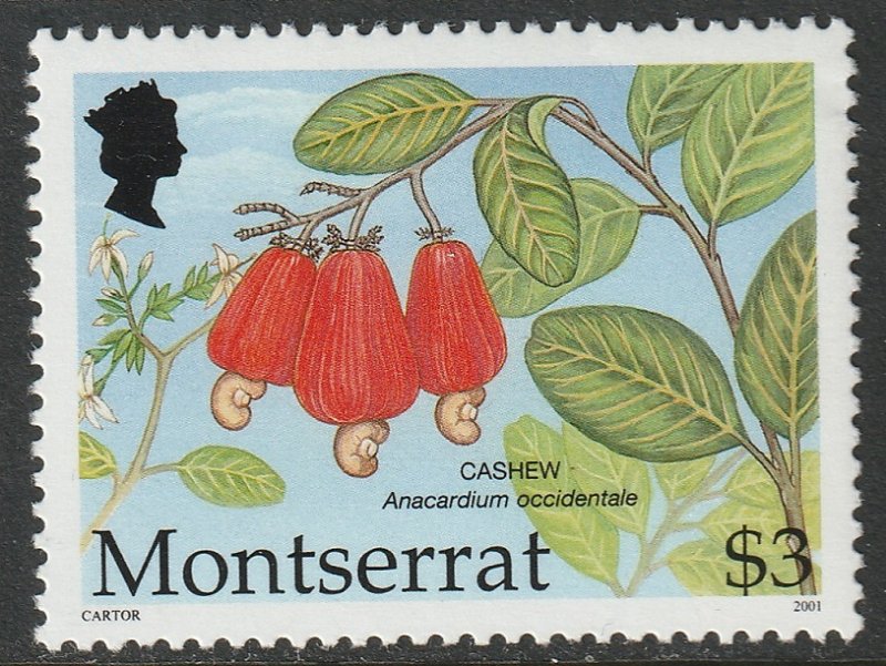 Montserrat 1053 MNH