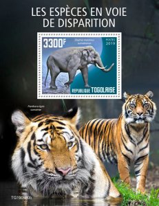 Togo 2019 MNH Wild Animals Stamps Endangered Species Sumatran Elephants 1v S/S