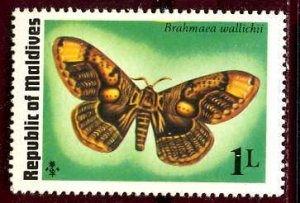 Maldive; 1975: Sc. # 584: **/MNH Single Stamp