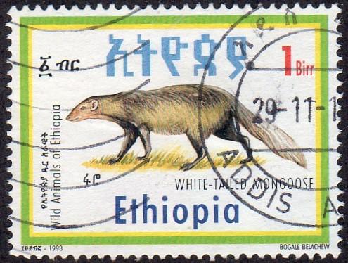 Ethiopia 1352 - Used - 1b White-tailed Mongoose (1993) (cv $1.25)